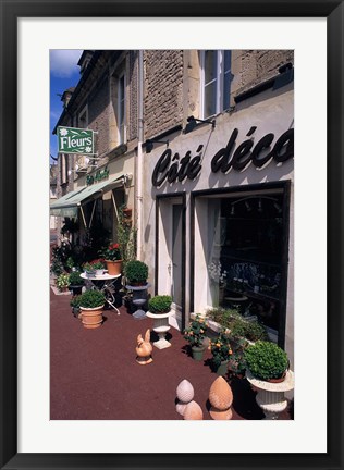 Framed Flower Store, Normandy, France Print