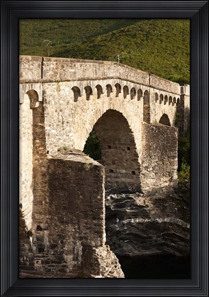 Framed Old Genoese Bridge Print