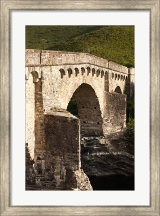 Framed Old Genoese Bridge Print