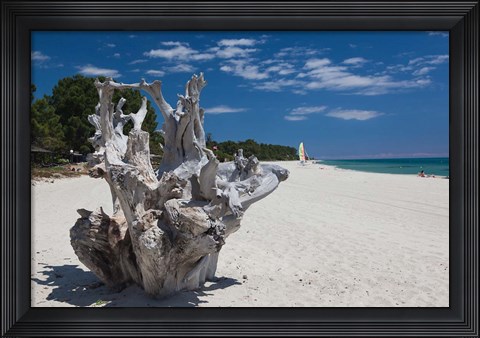 Framed Town Beach Driftwood in Ghisonaccia Print