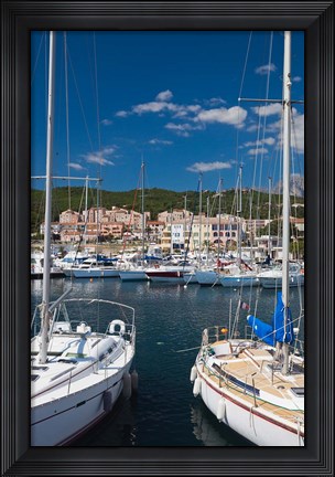 Framed Seashell Coast, Solenzara Print