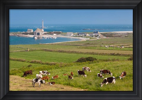 Framed Goury Cap de la Hague Lighthouse Print