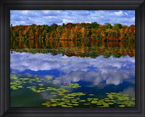 Framed Park Haven Lake in Autumn Print