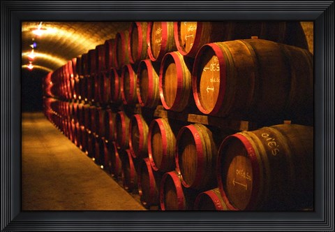 Framed Barrels of Tokaj Wine in Disznoko Cellars, Hungary Print