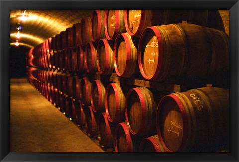 Framed Barrels of Tokaj Wine in Disznoko Cellars, Hungary Print