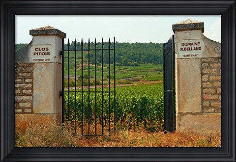 Framed Iron Gate to the Vineyard Clos Pitois Print