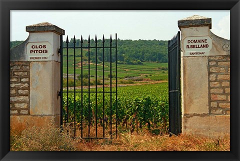 Framed Iron Gate to the Vineyard Clos Pitois Print