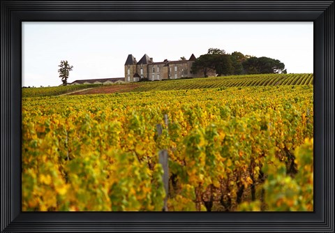 Framed Vineyard and Medieval Chateau Print