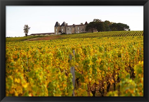 Framed Vineyard and Medieval Chateau Print