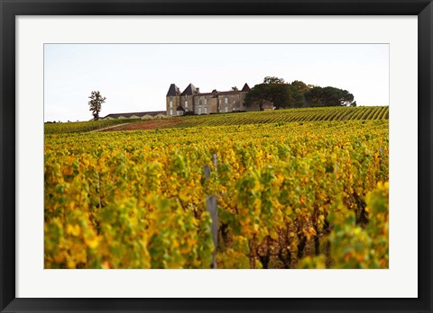 Framed Vineyard and Medieval Chateau Print