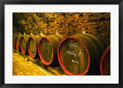 Framed Kiralyudvar Winery Barrels with Tokaj Wine, Hungary Print