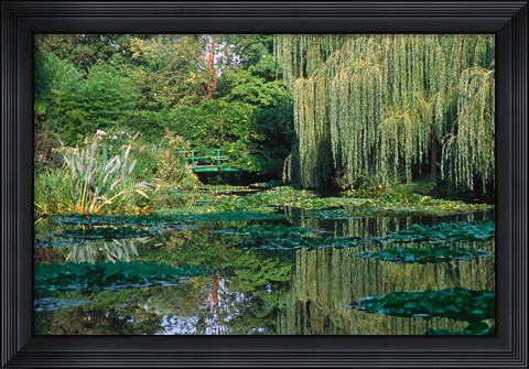 Framed Claude Monet&#39;s Garden Pond in Giverny, France Print