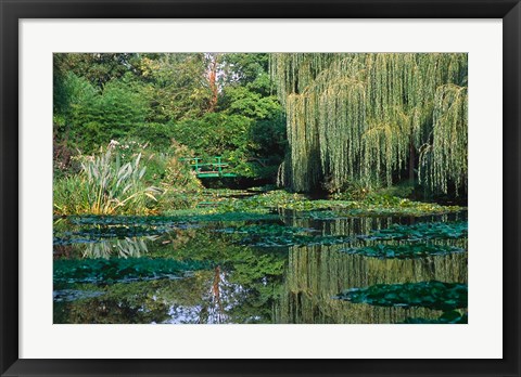 Framed Claude Monet&#39;s Garden Pond in Giverny, France Print