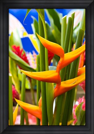 Framed Heliconia Flower, Seafront Market Print