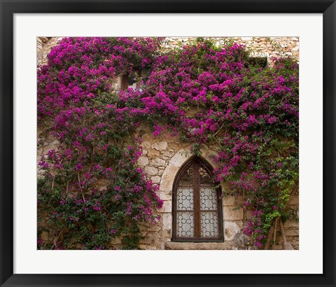 Framed Bright Pink Bougainvillea, Eze, France Print