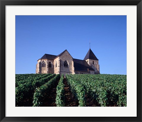 Framed Chavot Church and Vineyards, France Print