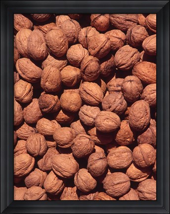 Framed Walnuts, Normandy, France Print