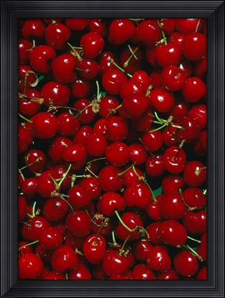 Framed Cherries, Normandy, France Print
