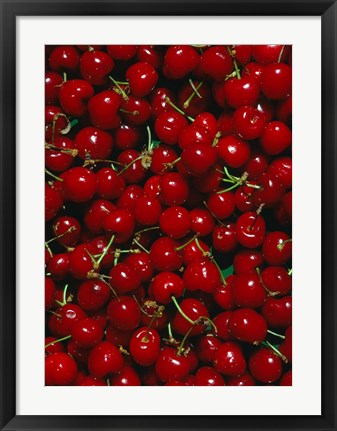 Framed Cherries, Normandy, France Print