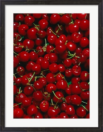 Framed Cherries, Normandy, France Print