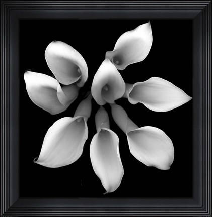 Framed Crystal Blush Calla 2 Print