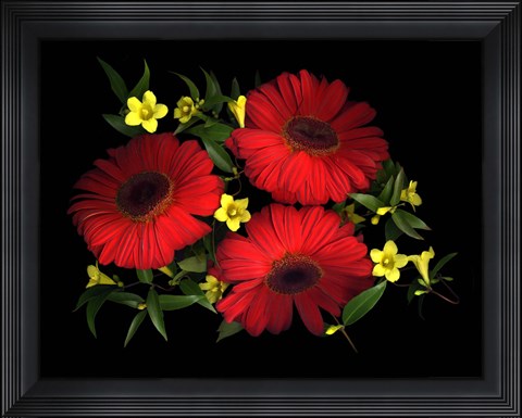 Framed Gerbera Daisy &amp; Carolina Jasmine Print