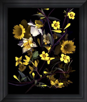 Framed Yellow Print