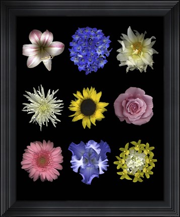 Framed Flower 9 Patch Print