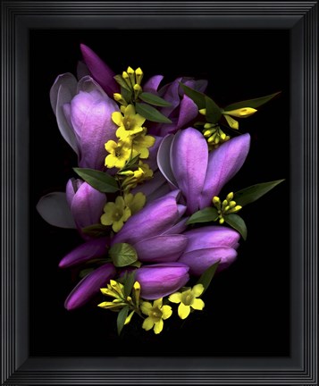 Framed Tulip Magnolia &amp; Jasmine Print