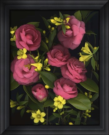Framed Camellia 2 Print