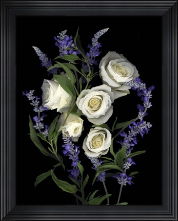 Framed White Rose &amp; Salvia Print