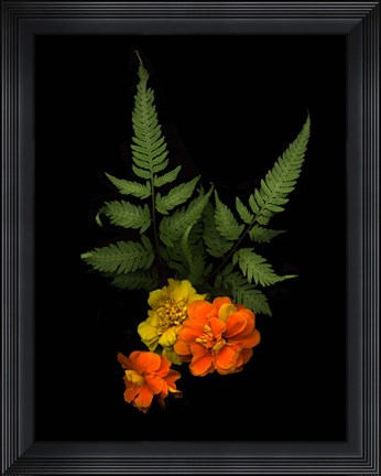 Framed Ferns &amp; Marigolds Print