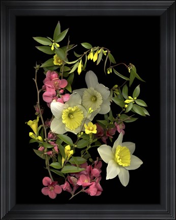 Framed Early Spring &#39;08 Print