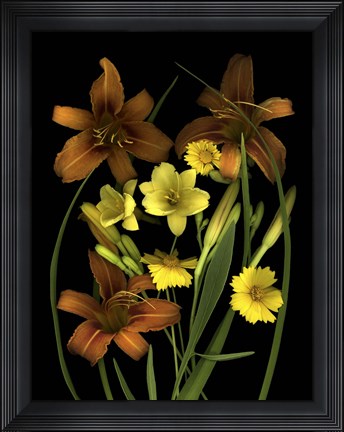 Framed Lilies &amp; Coreopsis Print