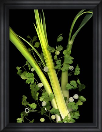 Framed Leeks, Cilantro &amp; Scallions Print