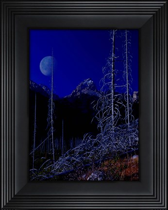 Framed Teton J Print