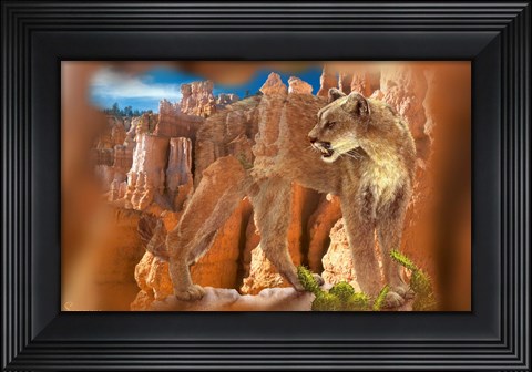 Framed Hidden Canyon 7 Print