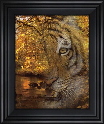 Framed Fade To Night Print