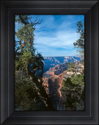 Framed Grand Canyon E Print
