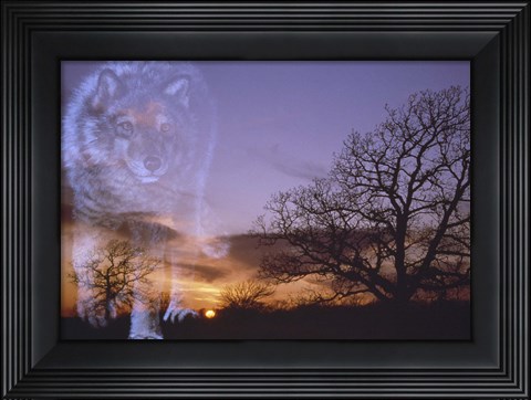 Framed Night Rules Print