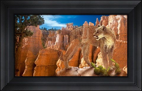 Framed Hidden Canyon 2 Print