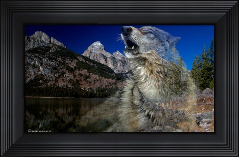 Framed Morning Echo Print