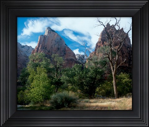 Framed Zion B Print
