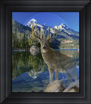 Framed Piont Of View 1 Print