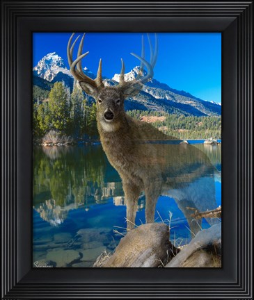 Framed Point Of View 2 Print