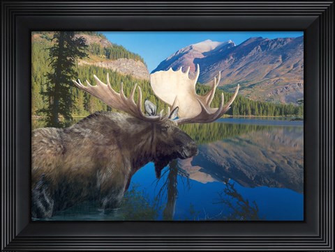 Framed Morning Time Print