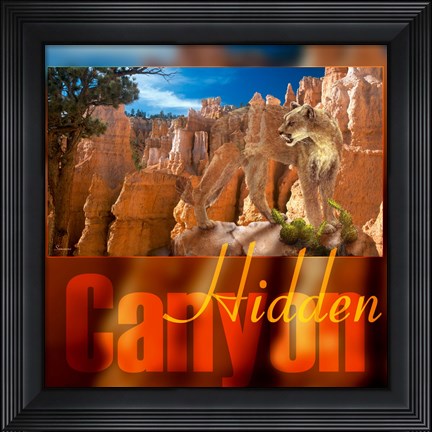 Framed Hidden Canyon 3 Print