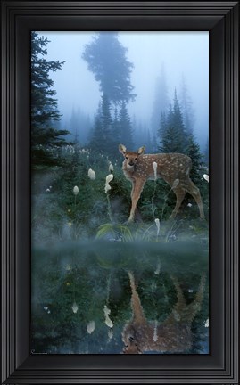 Framed Age Of Reflection Print