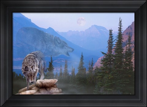 Framed Night Calls Print