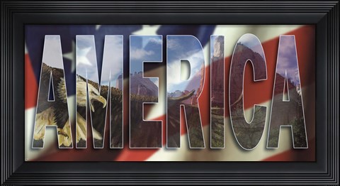 Framed America Print